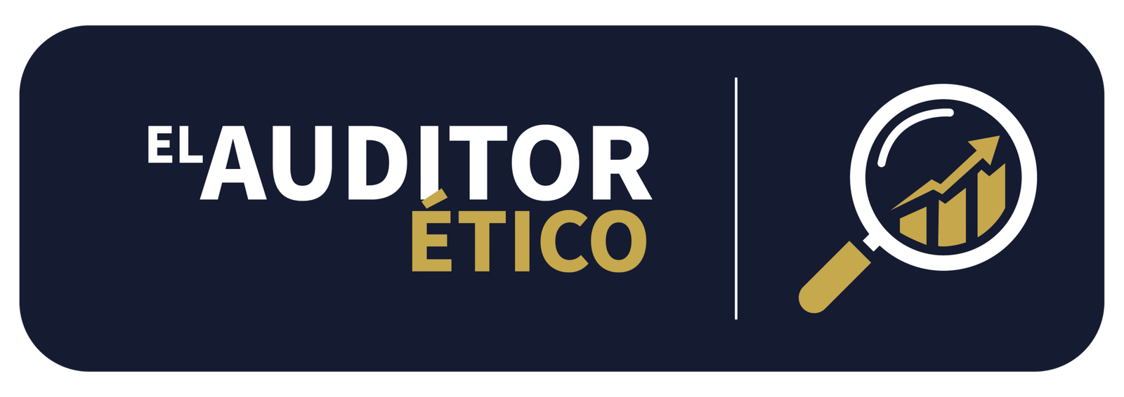 logo auditor de marketing etico